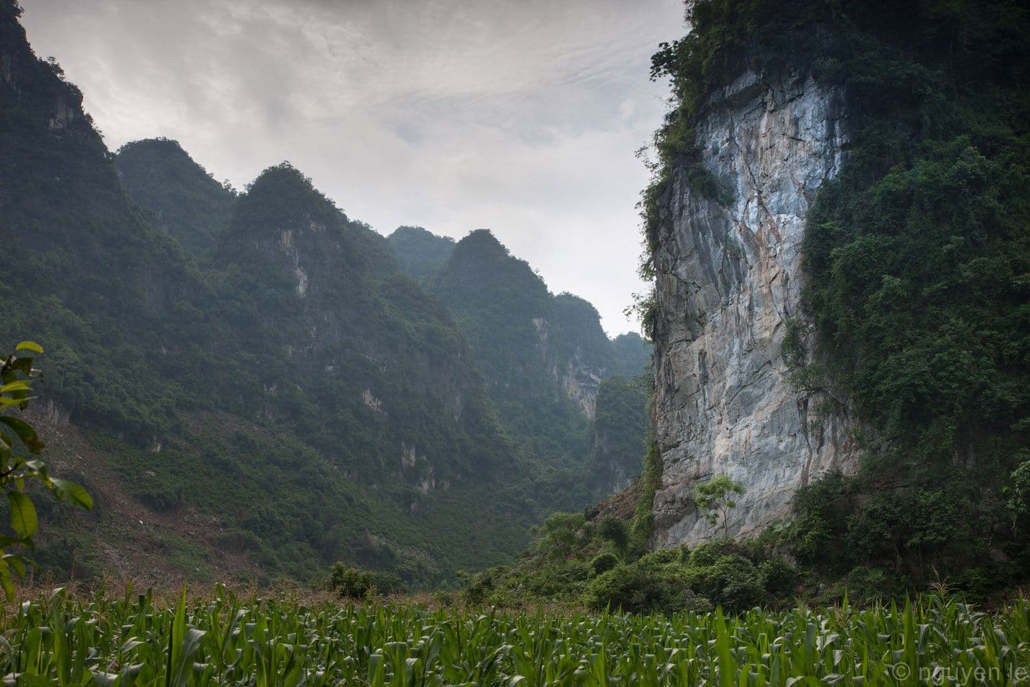 Squirrel Wall, an iconic crag in Huu Lung bolted by Jack Crivelli and Jean Verly, địa điểm leo núi thể thao nổi tiếng tại Việt Nam